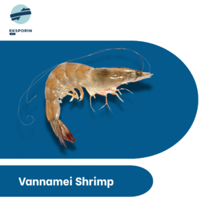 Vannamei Shrimp 