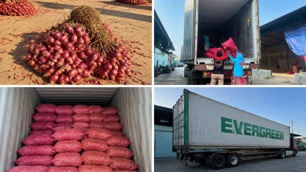 Indonesian shallots export process showing product preparation, container stuffing, and shipment loading