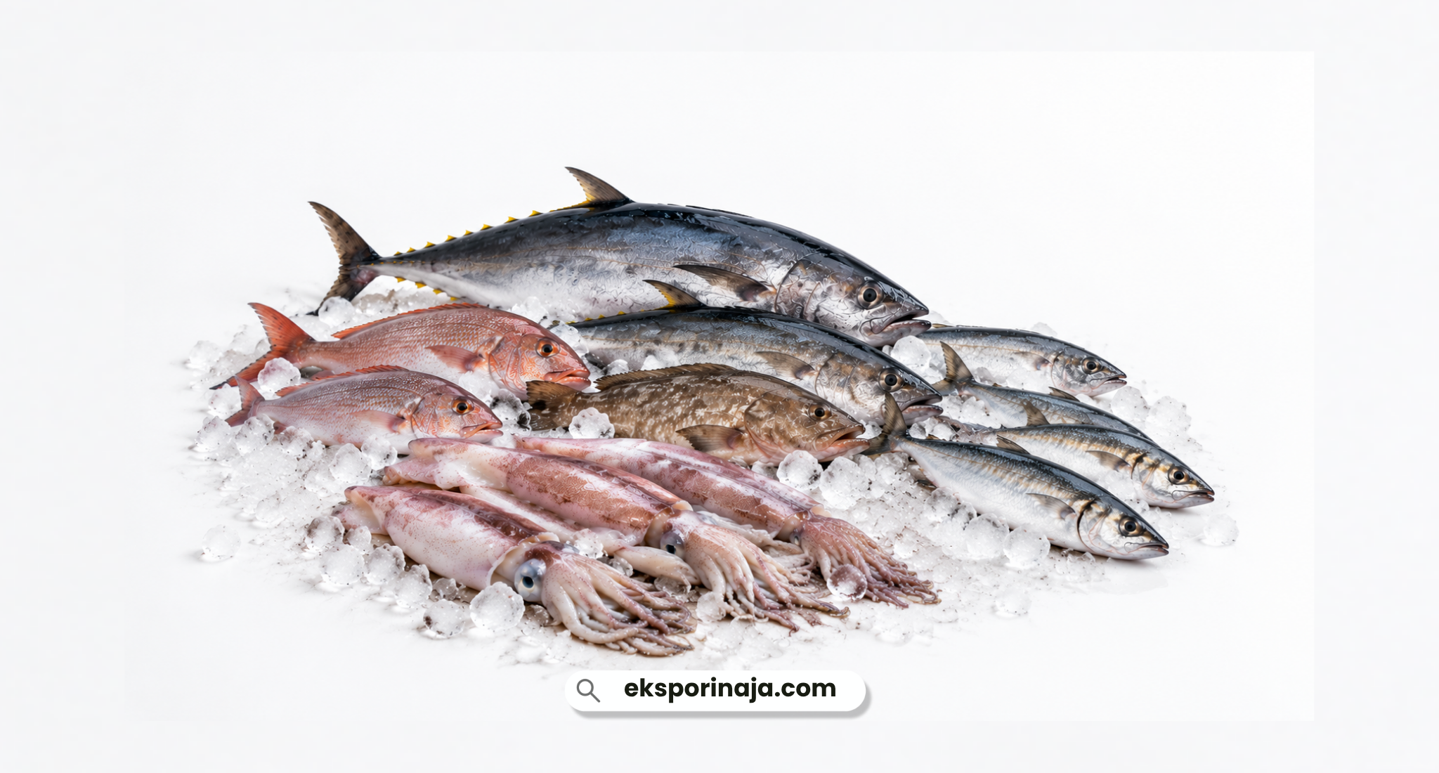 Assortment of fresh Indonesian seafood on ice, including tuna, red snapper, grouper, mackerel, and squid